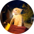 Ijlal Azmi profile picture